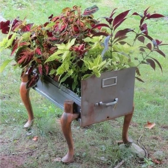 Thank you ✅ - Picture 9 of 16